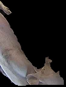 Crop