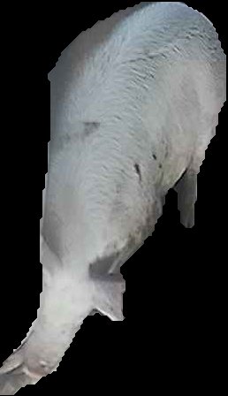 Crop