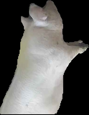 Crop