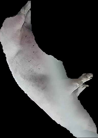 Crop