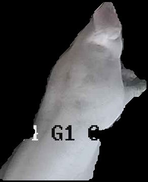 Crop
