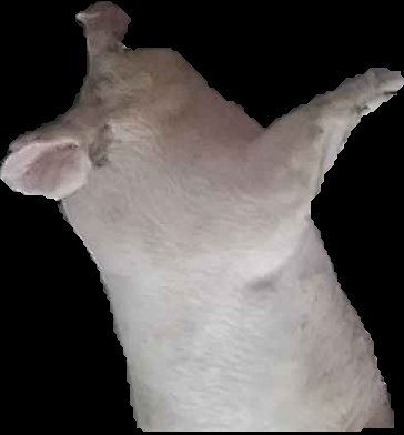 Crop