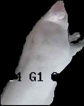 Crop