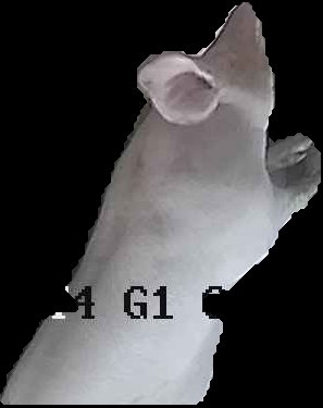 Crop