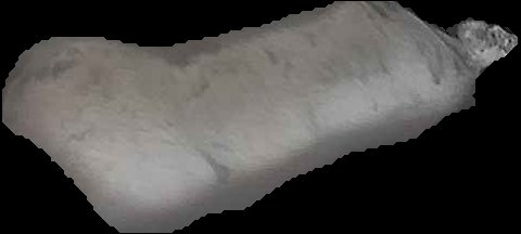 Crop
