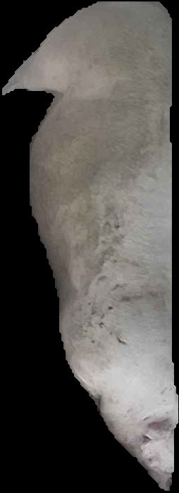 Crop