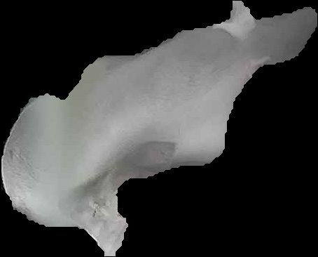 Crop