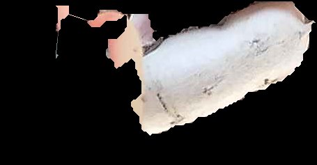 Crop
