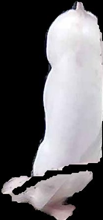 Crop