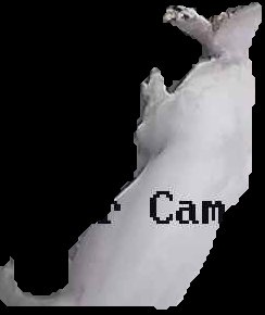 Crop