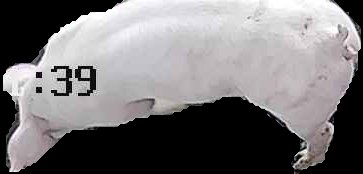 Crop