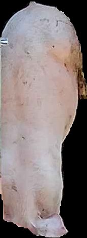 Crop