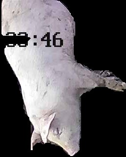 Crop