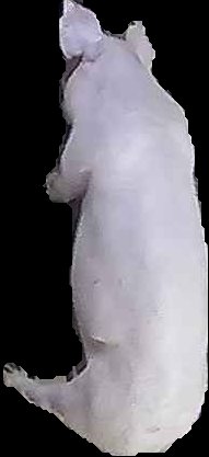 Crop