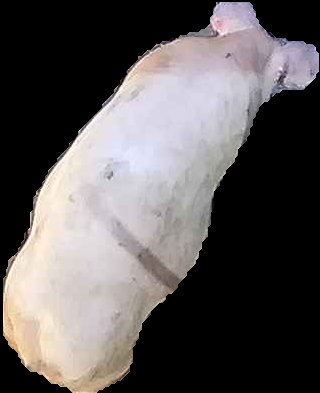Crop