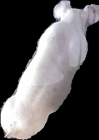 Crop