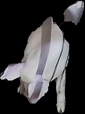 Crop