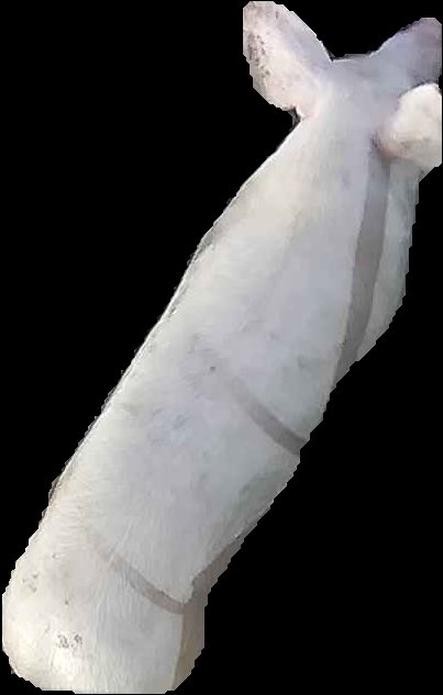 Crop