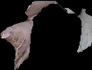 Crop