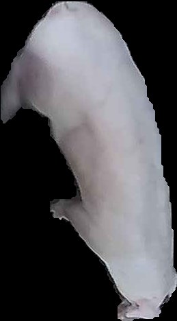 Crop
