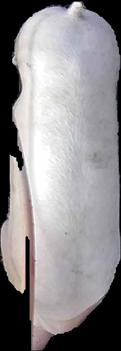 Crop