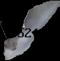 Crop