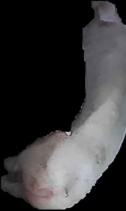 Crop