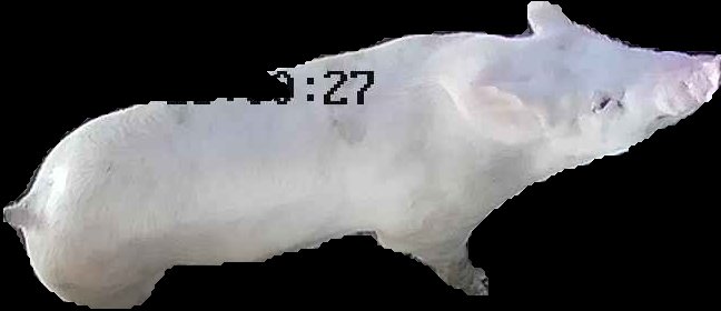 Crop