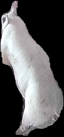 Crop