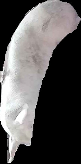 Crop