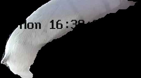 Crop