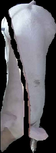 Crop