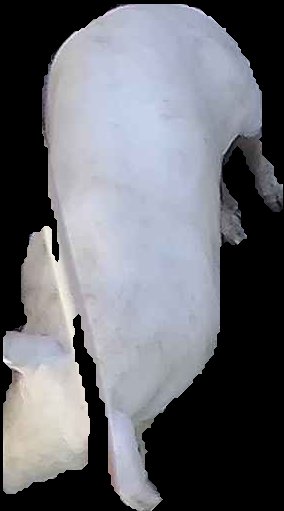 Crop