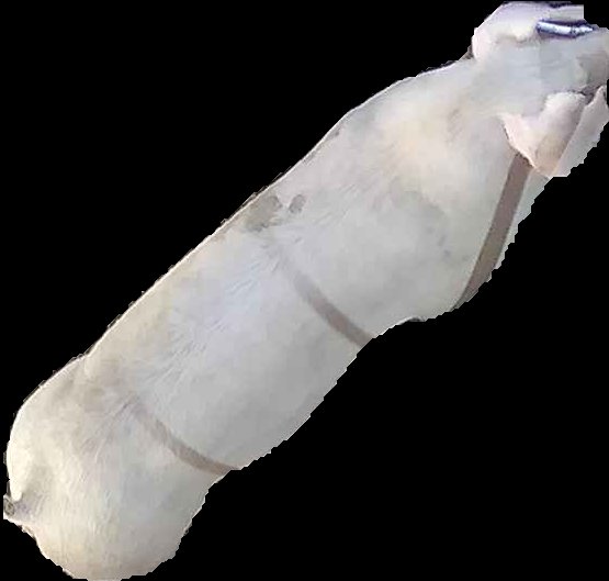 Crop