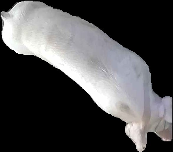Crop