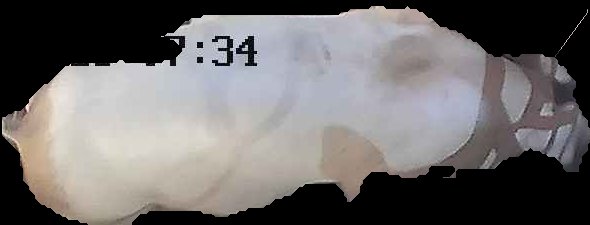 Crop