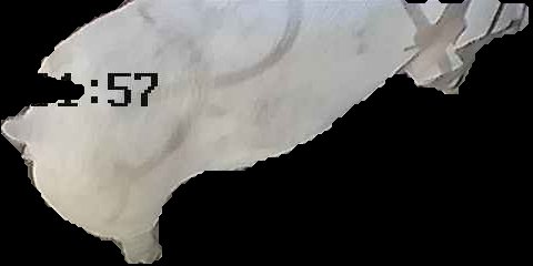Crop