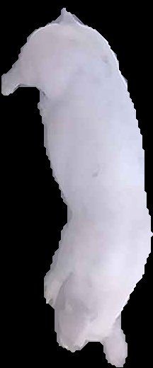 Crop